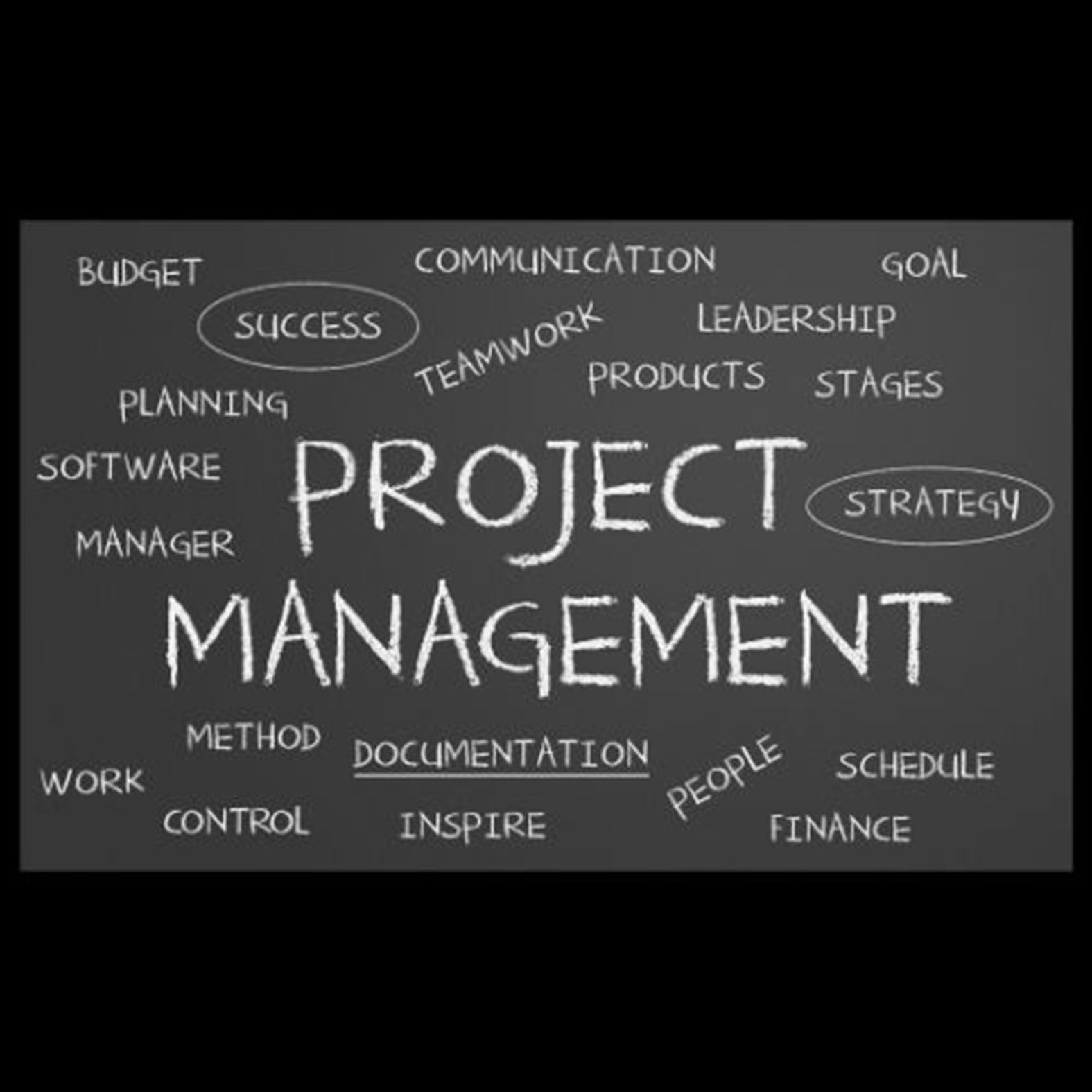 Project Management